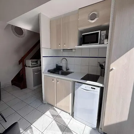 Appartement Maison 2 Pièces Avec Mezzanine 4 Couchages So010-99 *