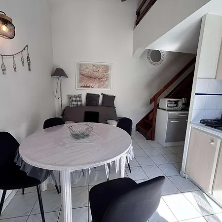 Appartement Maison 2 Pièces Avec Mezzanine 4 Couchages So010-99
